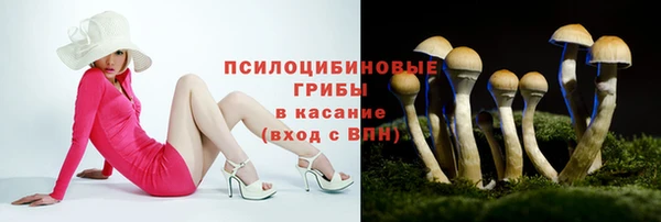 2c-b Абдулино