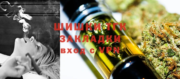 сатива Абаза