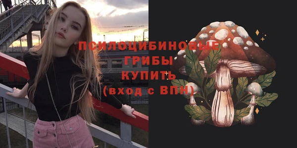 2c-b Абдулино