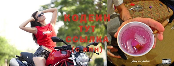 сатива Абаза