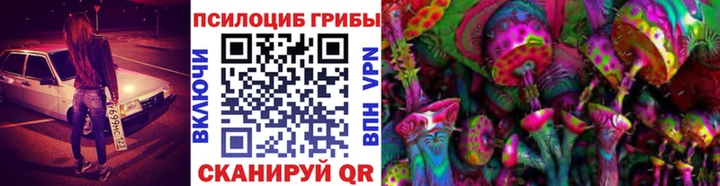 Псилоцибиновые грибы Cubensis Спас-Клепики